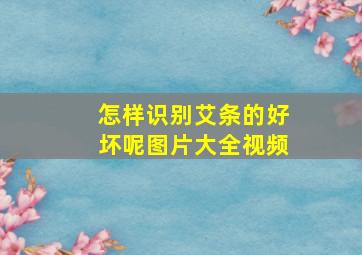 怎样识别艾条的好坏呢图片大全视频