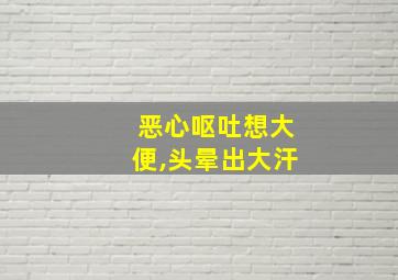 恶心呕吐想大便,头晕出大汗