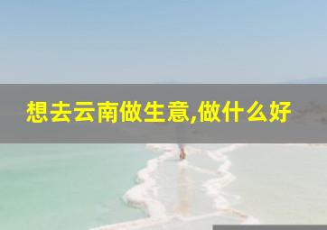 想去云南做生意,做什么好