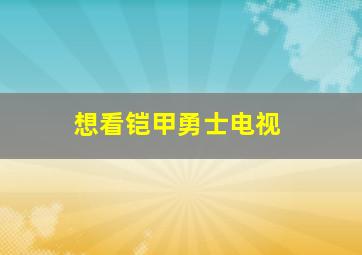 想看铠甲勇士电视