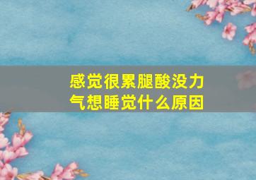 感觉很累腿酸没力气想睡觉什么原因