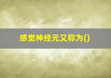 感觉神经元又称为()