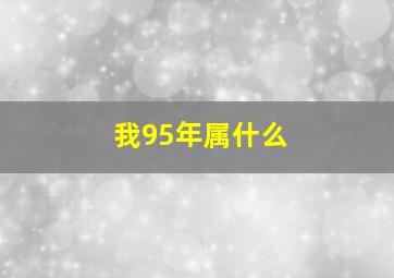 我95年属什么