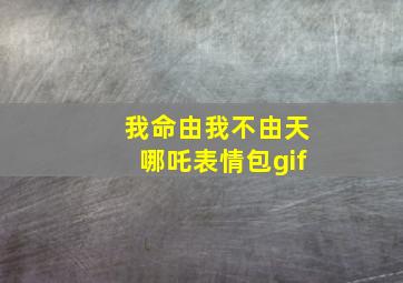 我命由我不由天哪吒表情包gif