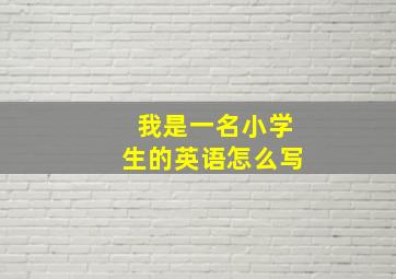 我是一名小学生的英语怎么写