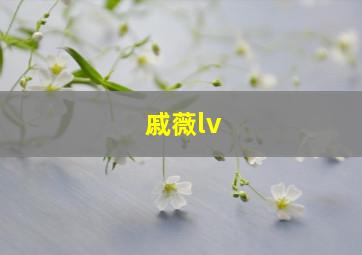 戚薇lv