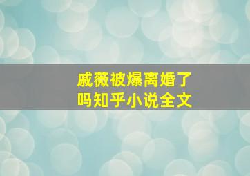 戚薇被爆离婚了吗知乎小说全文