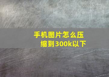 手机图片怎么压缩到300k以下