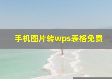 手机图片转wps表格免费