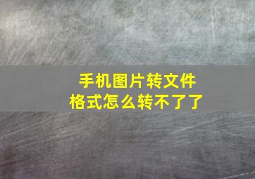 手机图片转文件格式怎么转不了了