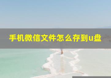 手机微信文件怎么存到u盘