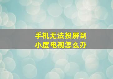 手机无法投屏到小度电视怎么办