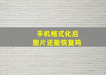 手机格式化后图片还能恢复吗