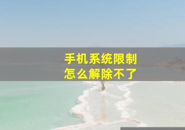 手机系统限制怎么解除不了