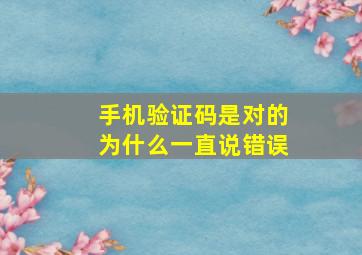 手机验证码是对的为什么一直说错误