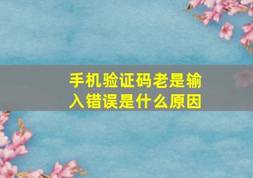 手机验证码老是输入错误是什么原因