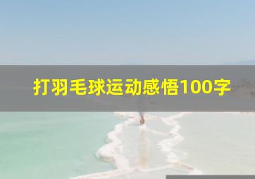 打羽毛球运动感悟100字