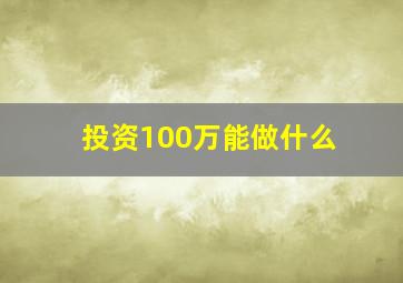 投资100万能做什么