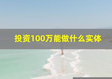 投资100万能做什么实体