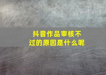 抖音作品审核不过的原因是什么呢