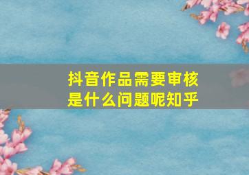 抖音作品需要审核是什么问题呢知乎