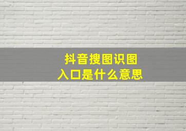 抖音搜图识图入口是什么意思