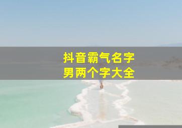 抖音霸气名字男两个字大全