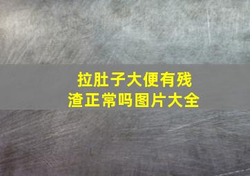 拉肚子大便有残渣正常吗图片大全