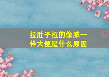 拉肚子拉的像脓一样大便是什么原因