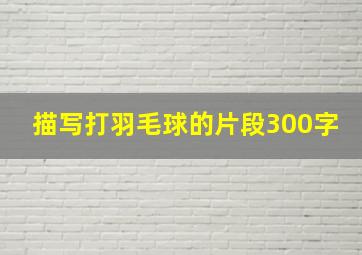 描写打羽毛球的片段300字