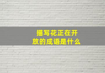 描写花正在开放的成语是什么