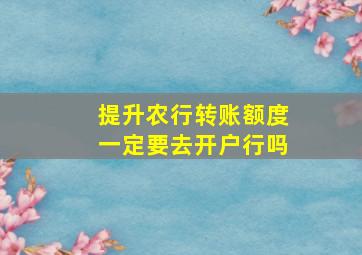 提升农行转账额度一定要去开户行吗