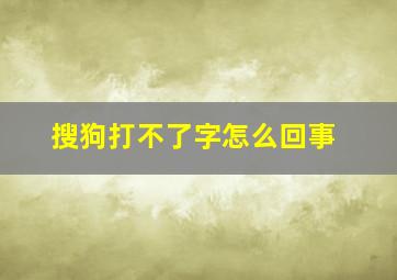 搜狗打不了字怎么回事