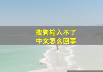 搜狗输入不了中文怎么回事