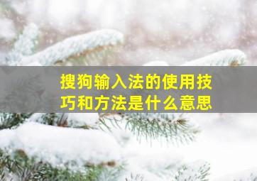 搜狗输入法的使用技巧和方法是什么意思