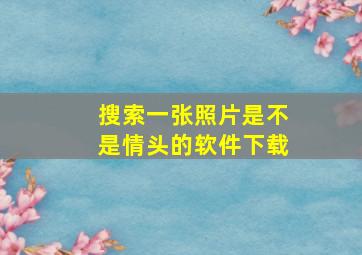 搜索一张照片是不是情头的软件下载