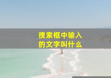 搜索框中输入的文字叫什么