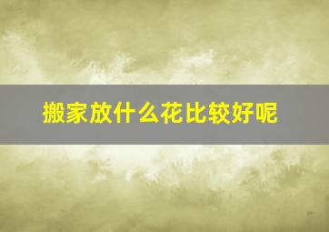 搬家放什么花比较好呢