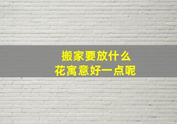 搬家要放什么花寓意好一点呢