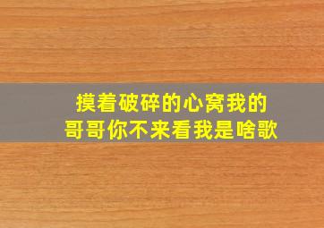 摸着破碎的心窝我的哥哥你不来看我是啥歌