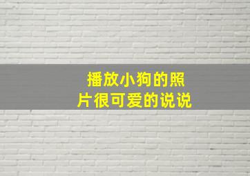 播放小狗的照片很可爱的说说