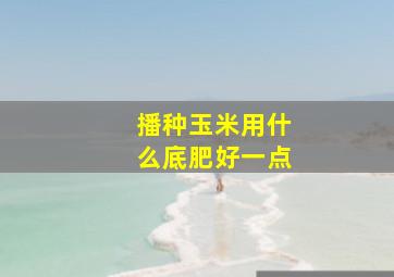 播种玉米用什么底肥好一点