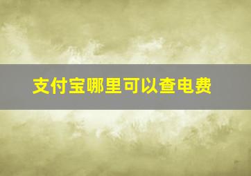 支付宝哪里可以查电费