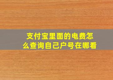 支付宝里面的电费怎么查询自己户号在哪看