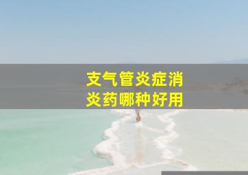 支气管炎症消炎药哪种好用