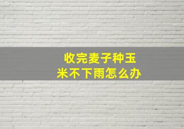 收完麦子种玉米不下雨怎么办