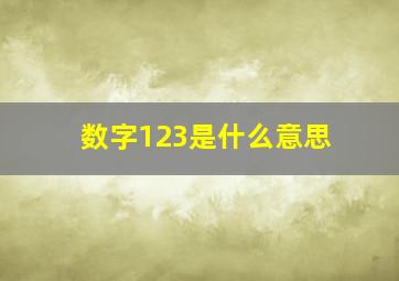 数字123是什么意思