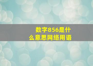 数字856是什么意思网络用语