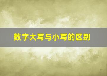 数字大写与小写的区别