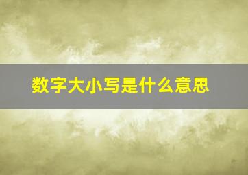 数字大小写是什么意思